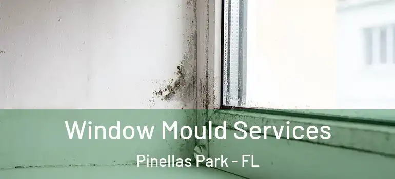 Window Mould Services Pinellas Park - FL