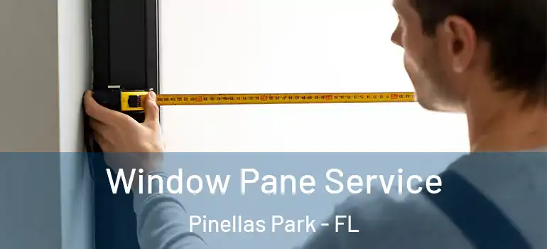 Window Pane Service Pinellas Park - FL