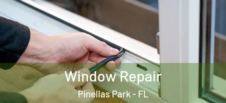 Window Repair Pinellas Park - FL