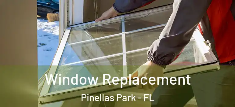 Window Replacement Pinellas Park - FL