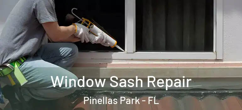 Window Sash Repair Pinellas Park - FL