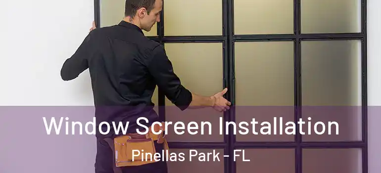 Window Screen Installation Pinellas Park - FL