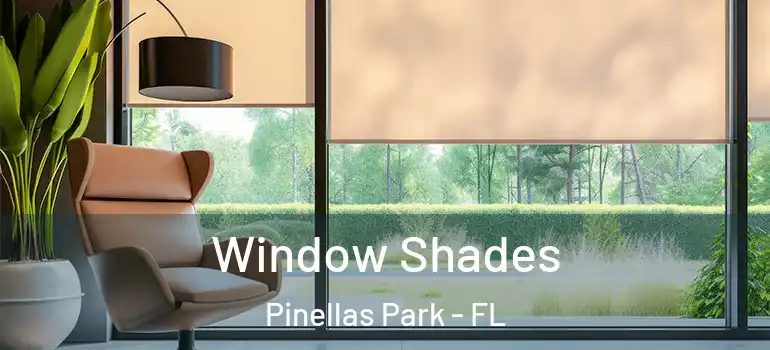 Window Shades Pinellas Park - FL