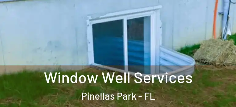Window Well Services Pinellas Park - FL